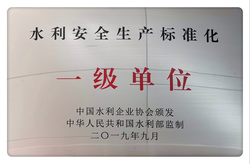 水利安全生產(chǎn)標(biāo)準(zhǔn)化一級單位